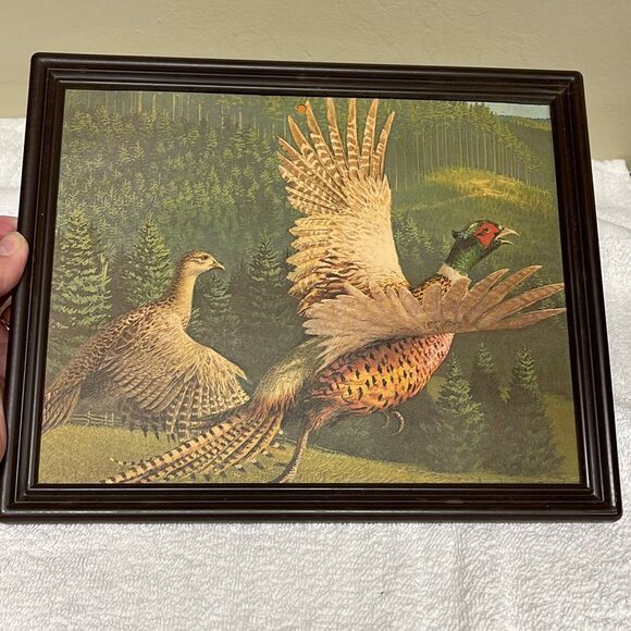 Midcentury 8 x 12 Stan Galli Pheasants print Kit-chi Japan. - Picture 5 of 5